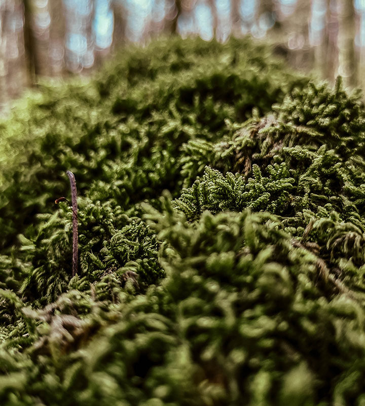 Evo što nas poznati fotograf Tomislav Može kaže o novom Huaweiju