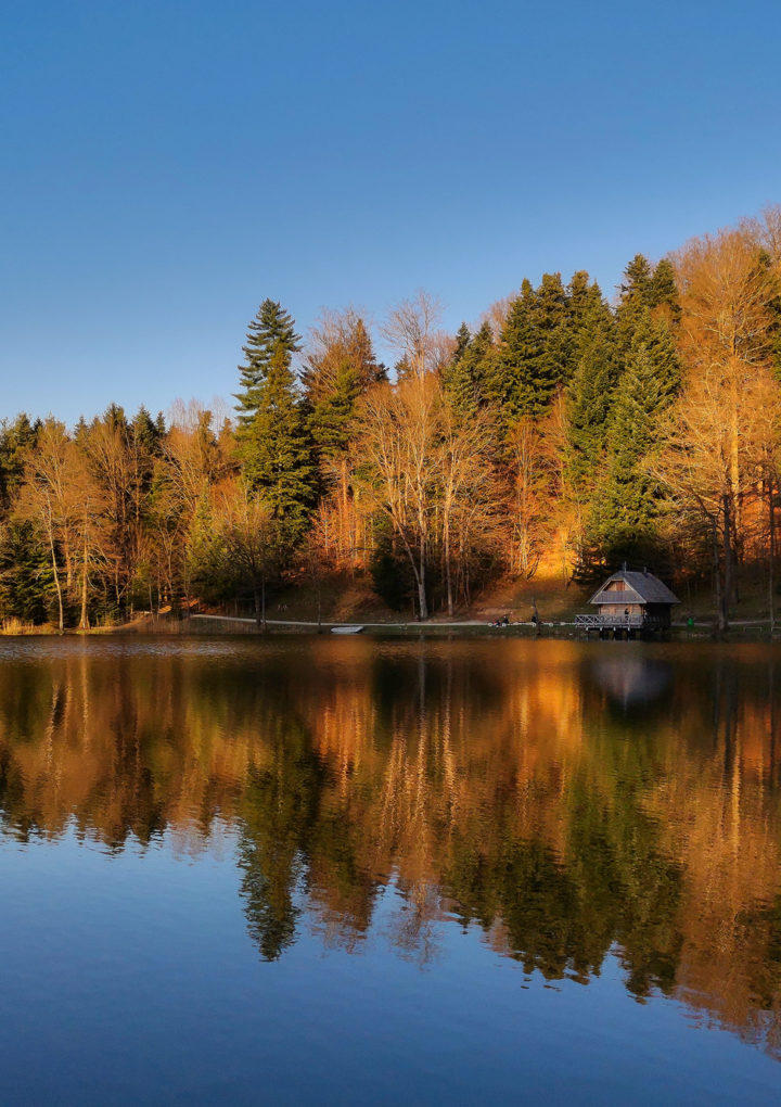 Roberto Pavić: „Huawei P40 lite je uređaj koji treba uzeti ozbiljno“